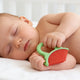 Pacifers Teethers - littlefishbaby